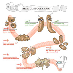 Bristol stool chart with excrement description and types outline concept - obrazy, fototapety, plakaty