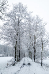 Winterlandschaft im Hanfbachtal