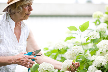 Seniorin bei Gartenarbeit