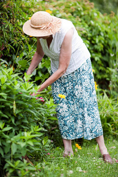Seniorin bei Gartenarbeit