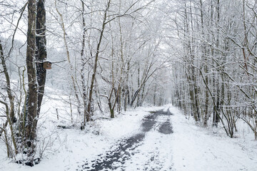 Winterlandschaft im Hanfbachtal