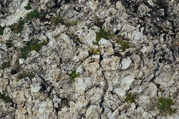 stone wall texture