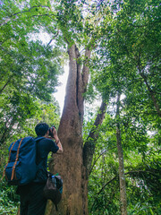 Fototapeta premium Ecotourism concept, Tourist are using camera to take pictures of birds in the tropical forest.