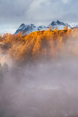 Dreamy snowcapped mountain scenic view with coniferous trees shrouded in mist and golden sunlight. Langdale Pikes, Lake District, UK. 
