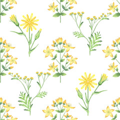 Seamless pattern with yellow flowers. Botanical background of watercolor plants. Floral backdrop for textile, wrapping paper, packaging. Summer meadow herbs.