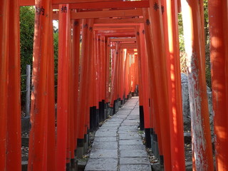 The approach to the shrine with red Senbon Torii at Nezu Shrine (Tokyo)