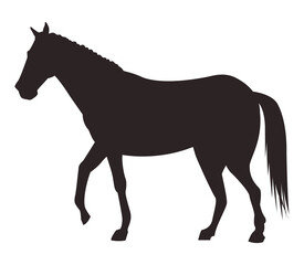 Obraz premium horse black animal silhouette isolated