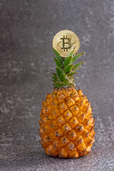 The bitcoin cryptocurrency coin is placed on top of the pineapple.