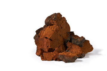 Natural chaga mushroom pieces isolated on a white background with cliping path without shadow. Inonotus Obliquus is a medical plant.