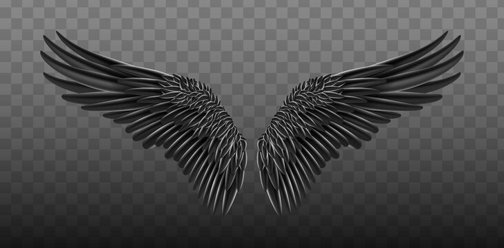 Black realistic wings. Vector illustration bird wings design. Black isolated pair of falcon wings, 3D bird wings design template.