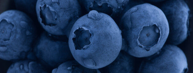 background and texture frozen blueberries close-up macro