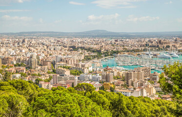 Fototapeta premium Palma de Mallorca Altstadt und Hafen Panorama