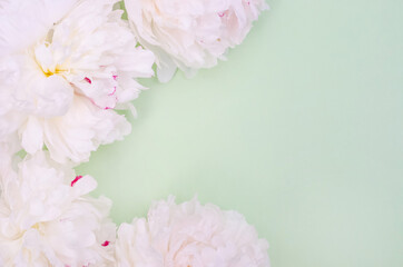 Fototapeta na wymiar Greeting card background, white peonies on light green background with copy space with selective focus