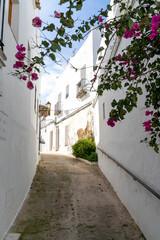 narrow street in the historic old center of Vejer de la Frontera with purple flowers in the foreground