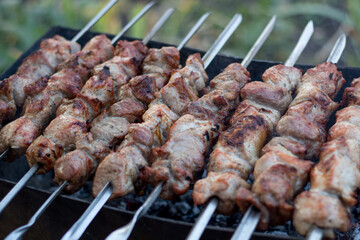 Roasted meat cooked at barbecue. Traditional eastern dish, shish kebab. Grilled kebab cooking on metal skewer. 