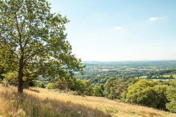 Fototapeta na wymiar Malvern hills in the summertime.