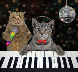 A gray cat musician in headphones plays the piano in a nightclub.