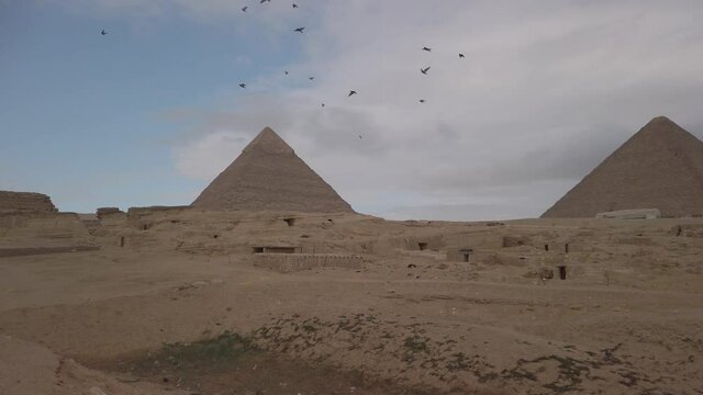 view of the pyramids of gizeh with birds in the footage