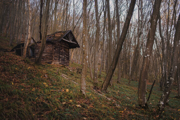 A scary looking crumbling abandoned cottage in a late autumn forest.