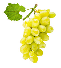 Grape isolated on white background with clipping path