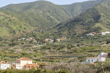 Fototapeta premium Tenerife
