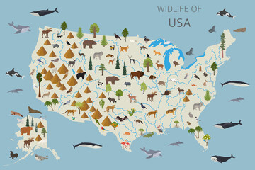 Flat design of USA wildlife. Animals, birds and plants constructor elements isolated on white set. Build your own geography infographics collection.