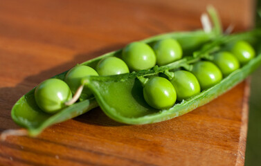 Pea macro