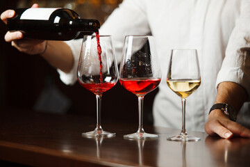 Sommelier pouring different types of fine wine