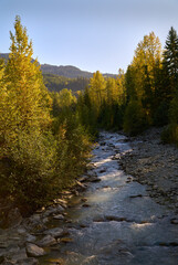Fototapeta na wymiar Fitzsimmons Creek Whistler BC. Looking up Fitzsimmons Creek in autumn. Whistler BC, Canada.