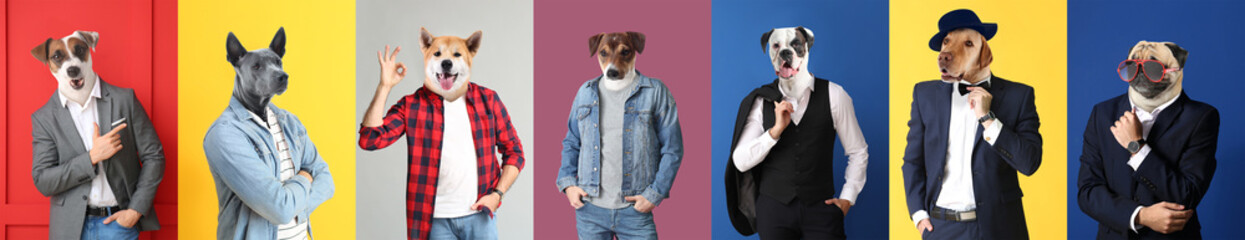 Stylish men with heads of dogs on color background