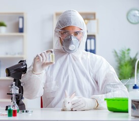 Scientist doing animal experiment in lab with rabbit