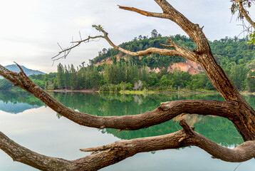 Landscape view of lake and mountain