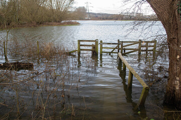 Naklejka premium View of flooded field
