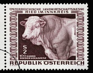 Stamp printed by Austria shows Prize bull, Austrian Agricultural Fair, Ried (Upper Austria), circa...