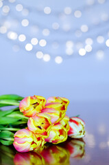 Top view of beautiful pink, yellow tulips on blue background with bokeh. Greeting card. 8 March. Mother's Day. Happy Women's Day.