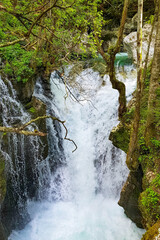 Beautiful stream and cascades in lush green forest. Sunikov vodni gaj, Soca river, Slovenia. - obrazy, fototapety, plakaty