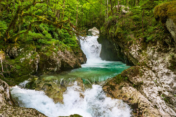Beautiful stream and cascades in lush green forest. Sunikov vodni gaj, Soca river, Slovenia.