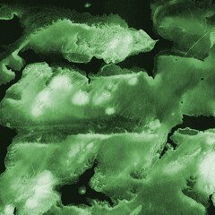 Green ink and watercolor texture on white paper background. Paint leaks and decalcomania effects. Hand-painted gouache abstract image. Mess on the canvas.