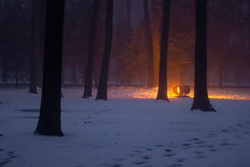 winter forest in the night with bright ray of light near world war 2 memorial, Kharkiv, Ukraine