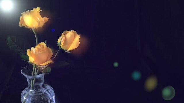 Three yellow roses in a vase with lens flare - Slide left