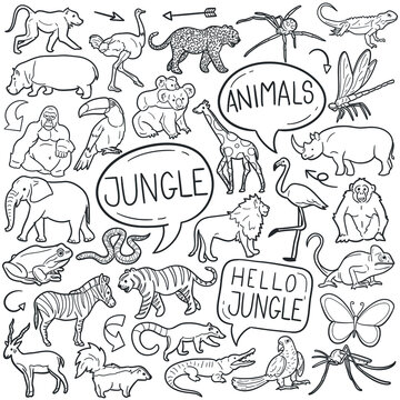 Jungle Animals doodle icon set. Wild Life Vector illustration collection. Africa Safari Hand drawn Line art style.