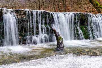 Fototapeta premium waterfall in the forest