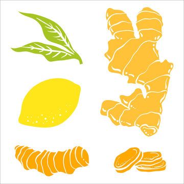 Ginger, lemon, turmeric. Roots and slices. Colorful sketch collection of herbs and spices isolated on white background. Doodle hand drawn healthy food icons. Vector illustration