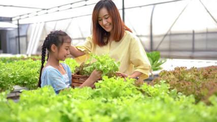 Mother With Daughter Harvesting vegetable On Farm