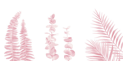 Blush Pink leaf set. Fern, eucalyptus and palm branches. Watercolour illustration isolated on white background.