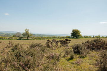 Obraz premium Hergest ridge, England and Wales in the Summertime.
