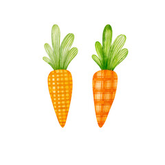 Watercolor drawing carrots isolated on white background.