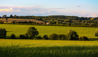 panoramic rural view of farm house with rolling hills hedgerow fences and grass crop fields
