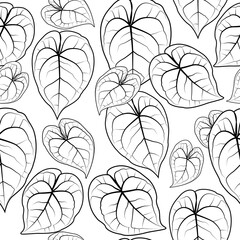 Anthurium tailflower flamingo flower leaves seamless pattern. Black outline on white background.