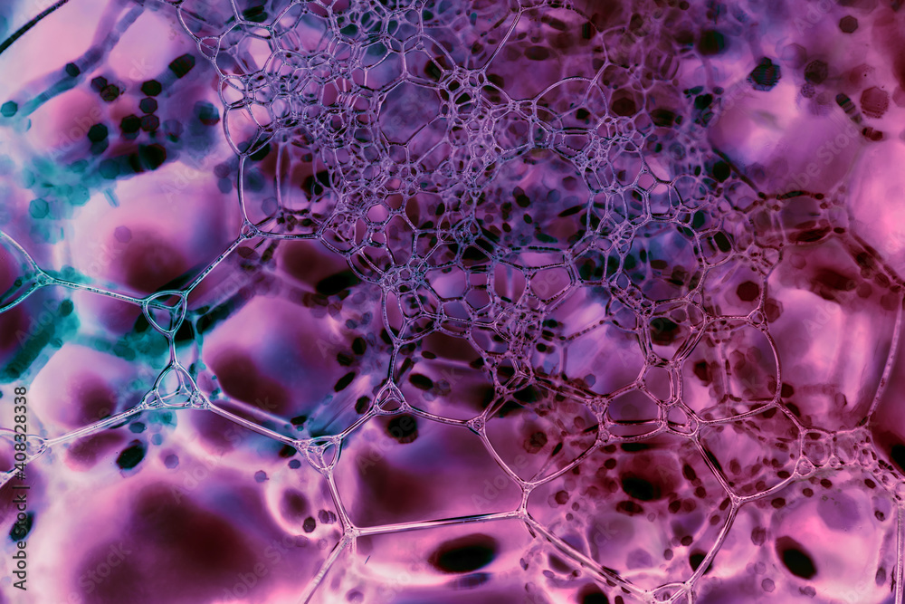Fototapete close up beautiful abstract soap bubbles. background pattern for design. macro photography view.